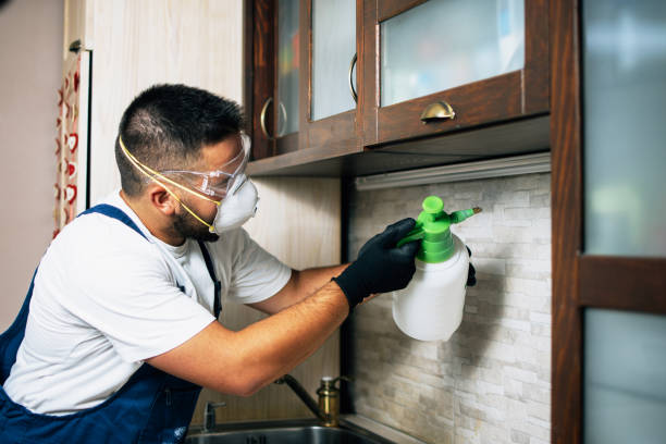  Signal Hill, CA Pest Control Pros