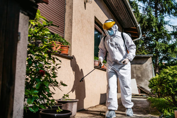Best Insect Control  in Signal Hill, CA