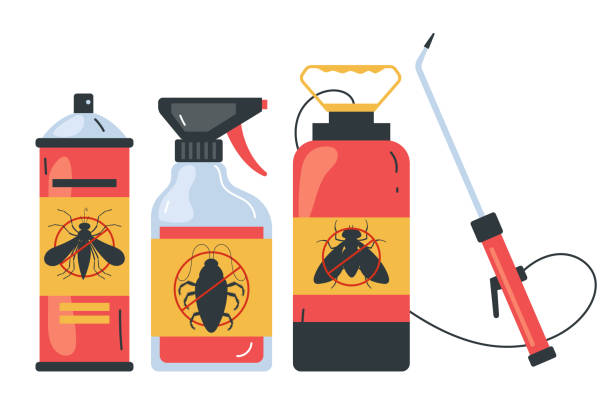 Best Bed Bug Extermination  in Signal Hill, CA